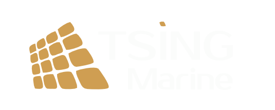 TSINGMARINE︱Provider of Ship Spare Parts and Services Solutions